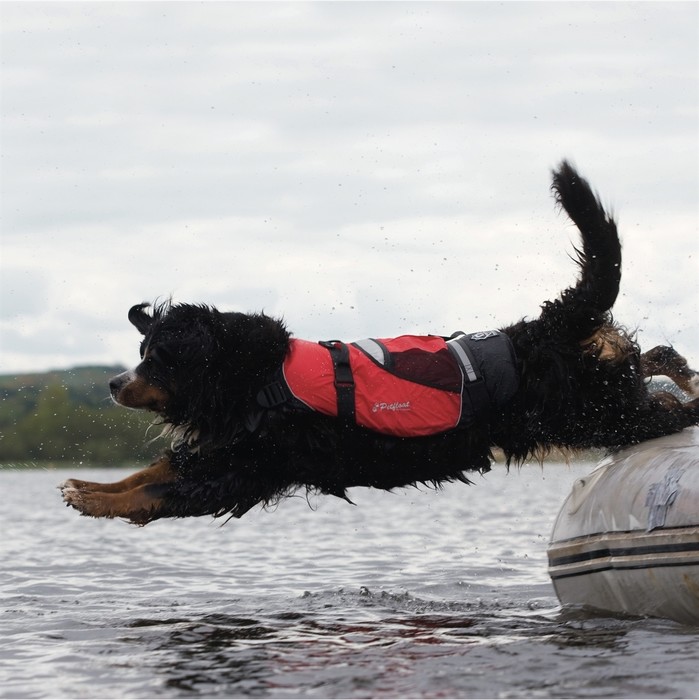 2022 Crewsaver Pet Dog / Cat Lifejacket Float 2370