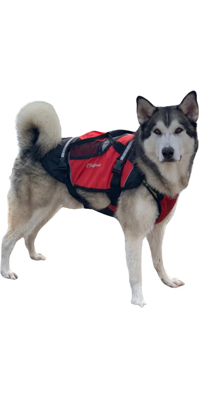 Crewsaver Pet Giubbotto Di Salvataggio Per Cani/gatti Galleggiante