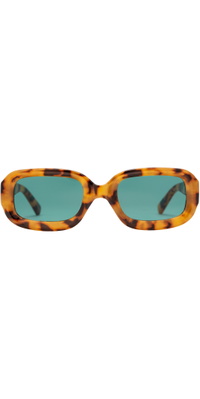2026 CHPO Sunglasses Havana 16135BE - Leopard / Turquoise