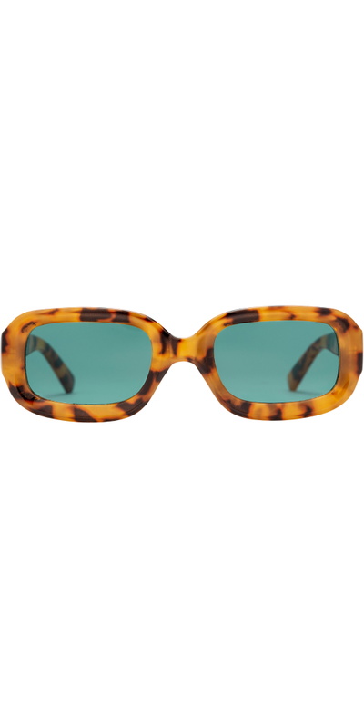 CHPO Sunglasses Havana