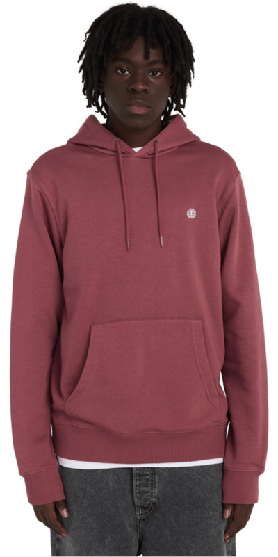 Element Mens Icon Embroidery Po Hoodie