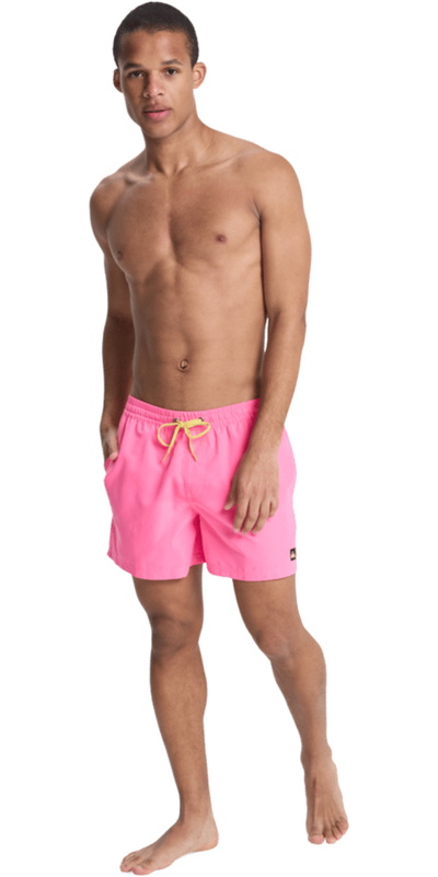 Quiksilver Herr Everyday Volley 15" Boardshorts