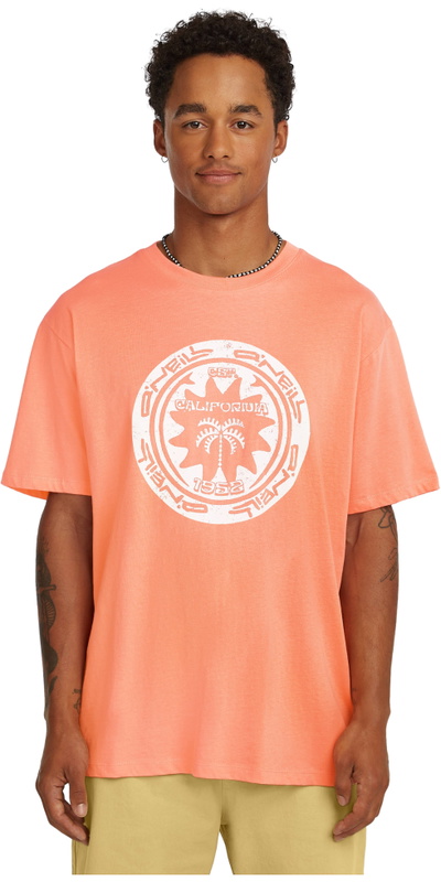 O'Neill Mens Must-Have Graphic T-Shirt