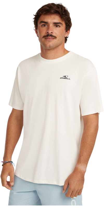 O'Neill Mens Small Logo T-Shirt
