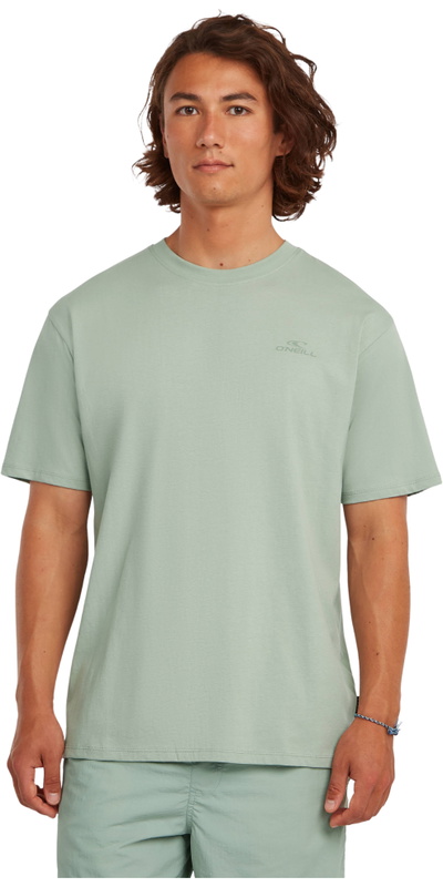 O'Neill Mens Small Logo T-Shirt