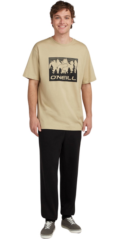 O'Neill Mens Must-Have Front Print T-Shirt