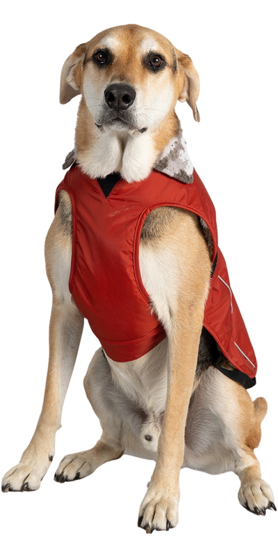 Dryrobe Dog Coat