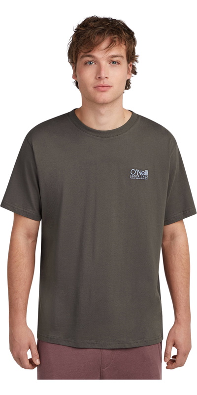 O'Neill Hommes Cali T-Shirt
