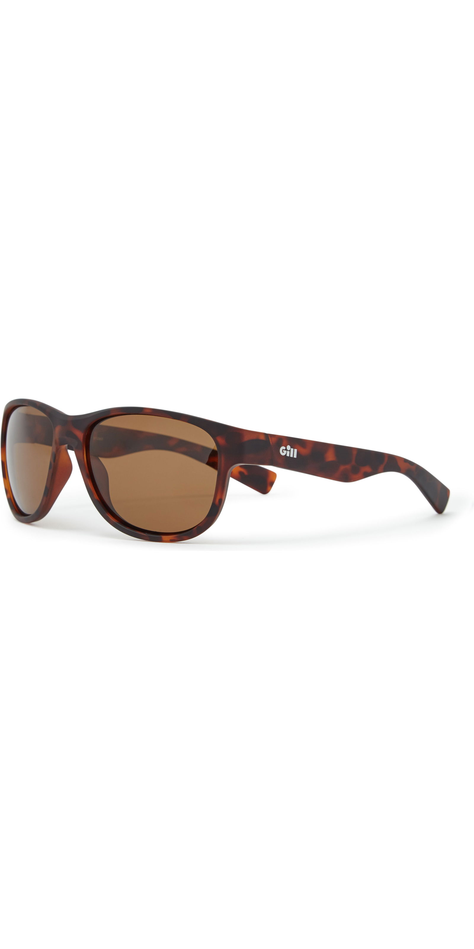 2019 Gill Coastal Sunglasses Tortoise / Amber 9670 Accessories