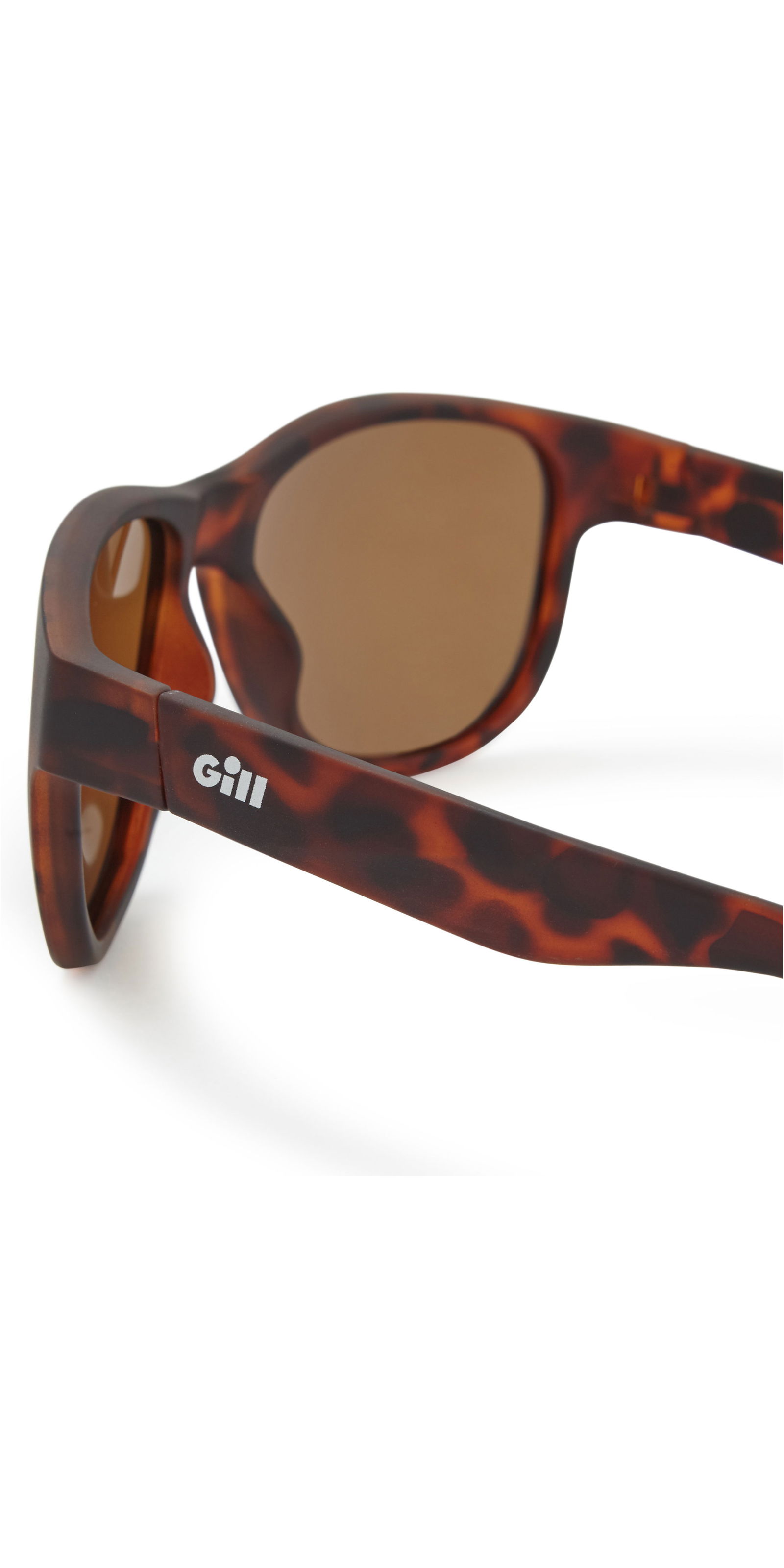 2019 Gill Coastal Sunglasses Tortoise / Amber 9670 Accessories
