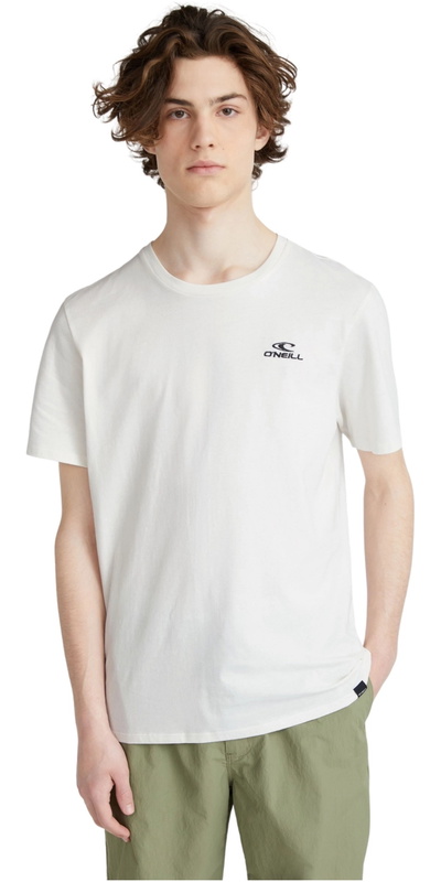 O'Neill Lille T-shirt Med Logo Til Mænd