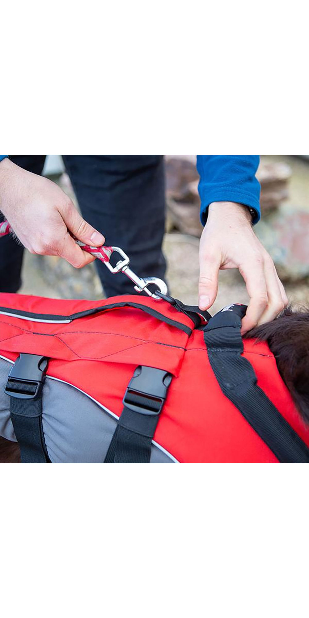 2020 Red Paddle Co Dog Buoyancy Aid - Grey