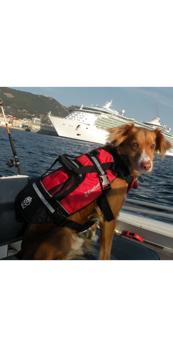 2021 Crewsaver Pet Dog / Cat Lifejacket Float 2370