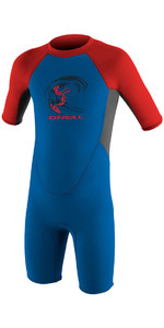 2021 O'Neill Toddler Reactor 2mm Back Zip Shorty Wetsuit OCEAN / GRAPHITE / RED 4867