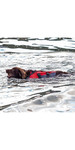 2020 Red Paddle Co Dog Buoyancy Aid - Grey